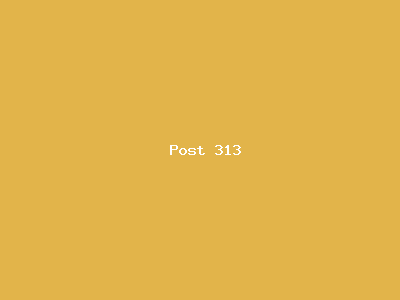 Post number 313